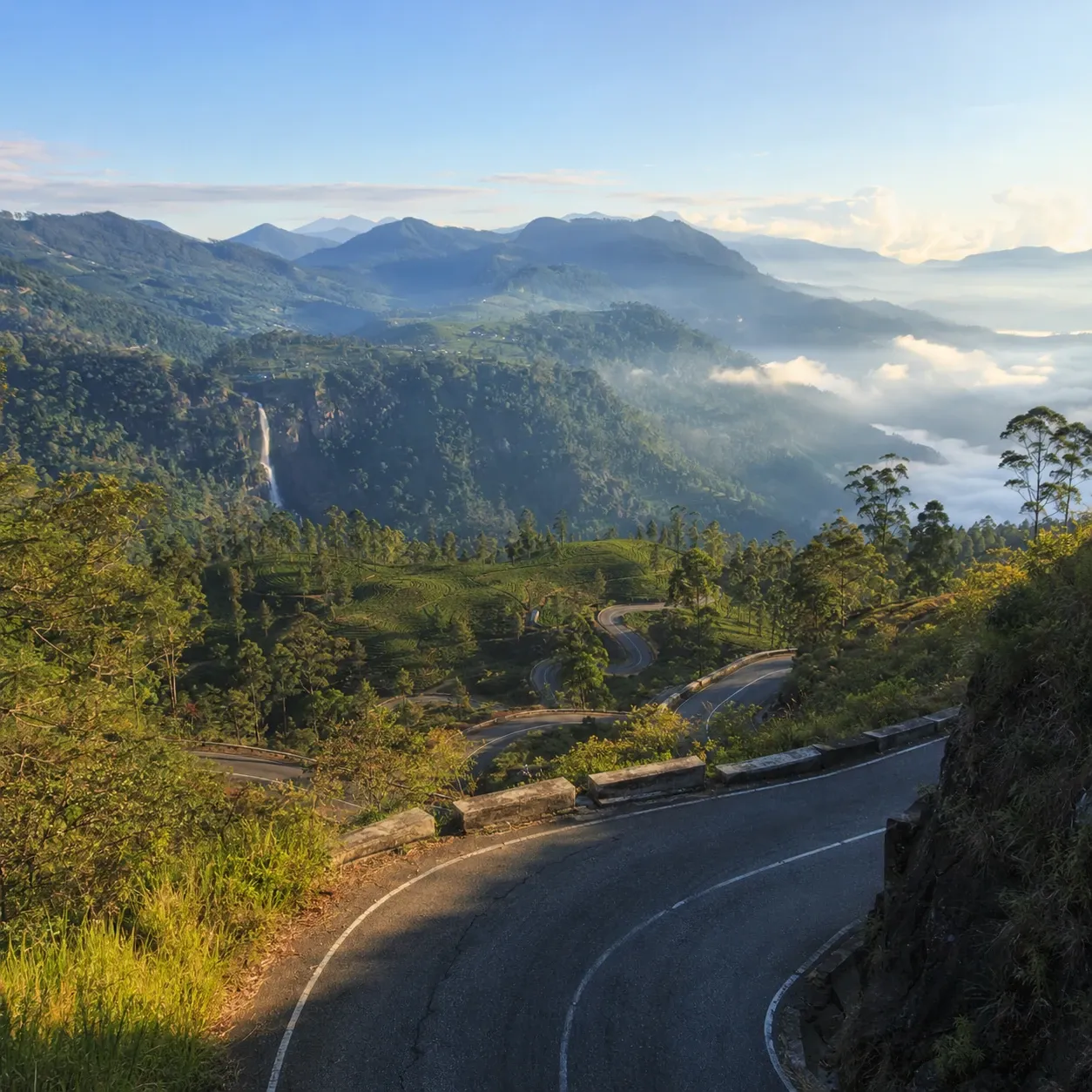 A winding mountain road descending through tea plantations in the Sri Lankan hill country