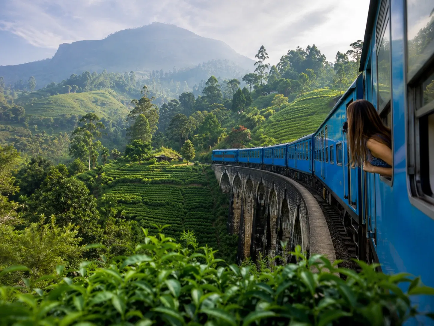 Sri Lanka hill country tea plantations and scenic mountain landscape