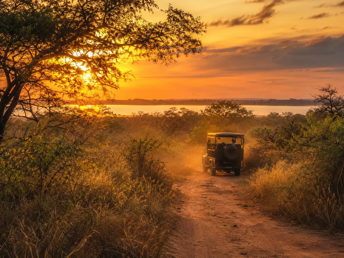 A safari jeep on a dirt track through dry-zone scrub jungle beside a reservoir at Habarana, Sri Lanka