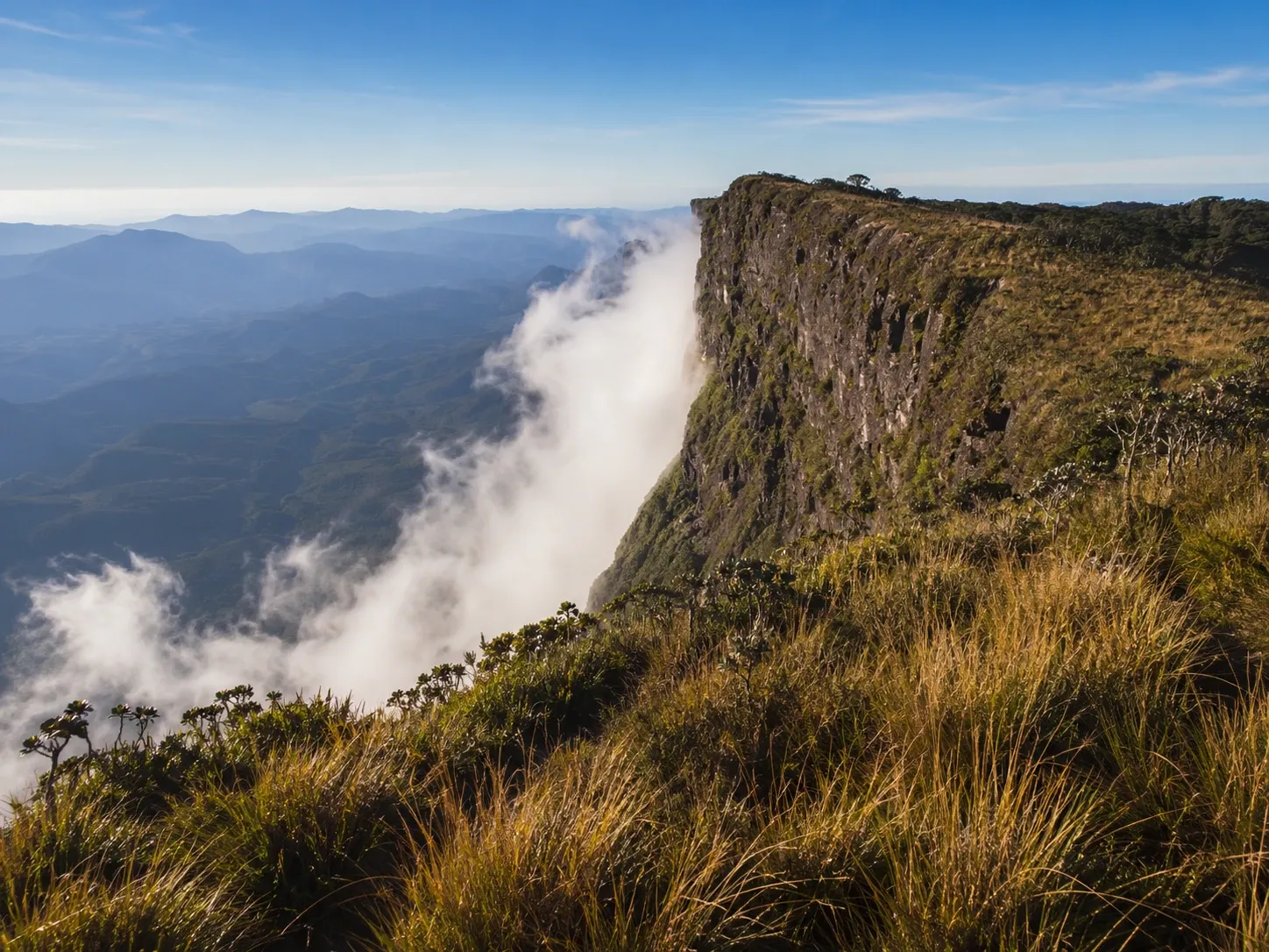 World's End cliff dropping away from the montane grassland plateau at Horton Plains National Park, Sri Lanka