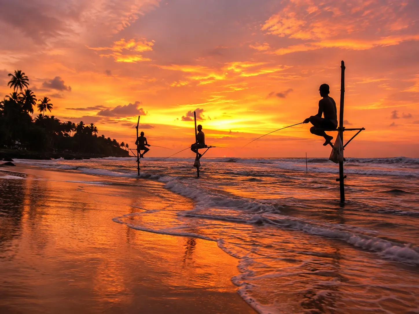 Traditional stilt fishermen silhouetted against a sunset sky at Weligama, south coast of Sri Lanka