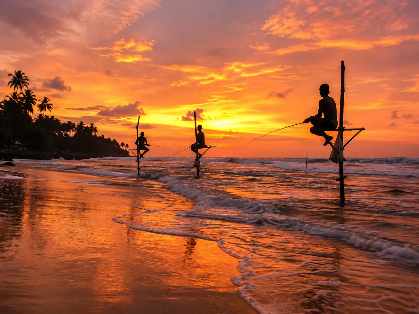 Traditional stilt fishermen silhouetted against a sunset sky at Weligama, south coast of Sri Lanka